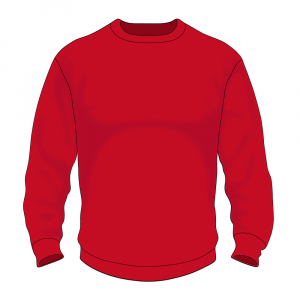 Конструктор свитшотов PREMIUM