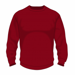 Конструктор свитшотов PREMIUM