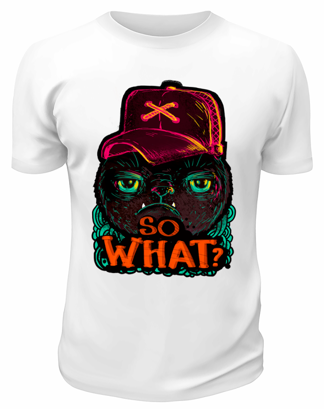 Футболка белая  So what